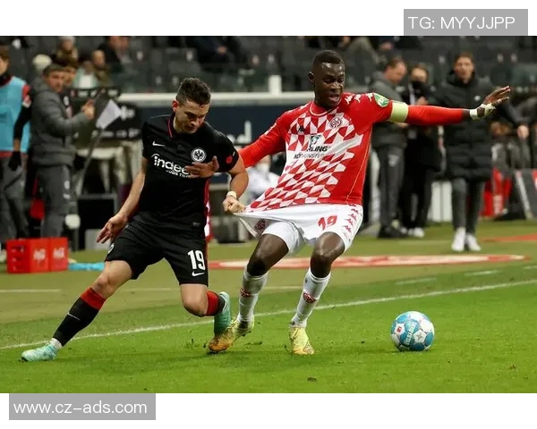 霍芬海姆客场大胜继续保留德甲希望 霍芬海姆客场大胜继续保留德甲希望